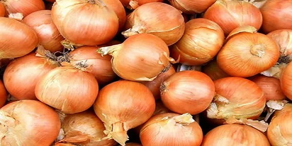 تصویر 1 از خرید و قیمت پیاز زرد درشت + فروش عمده